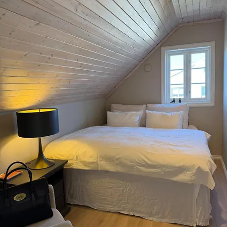 Lejlighed Penthouse Larvik