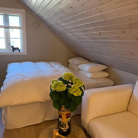 Penthouse Lejlighed